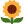 flower-2
