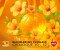 PL Catalogue 10/2025 - Mandarine Florale
