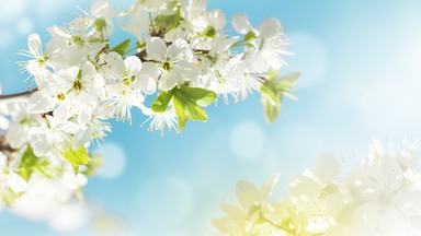 Veľká noc a jar 🌷