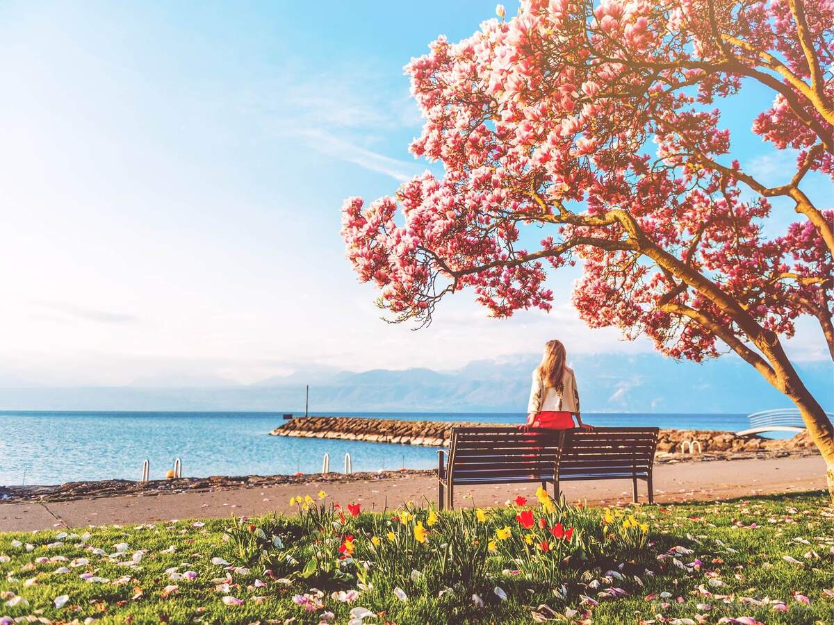 Osvěžovač vzduchu a textilií MAGNOLIA