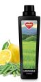 Obrázek varianty