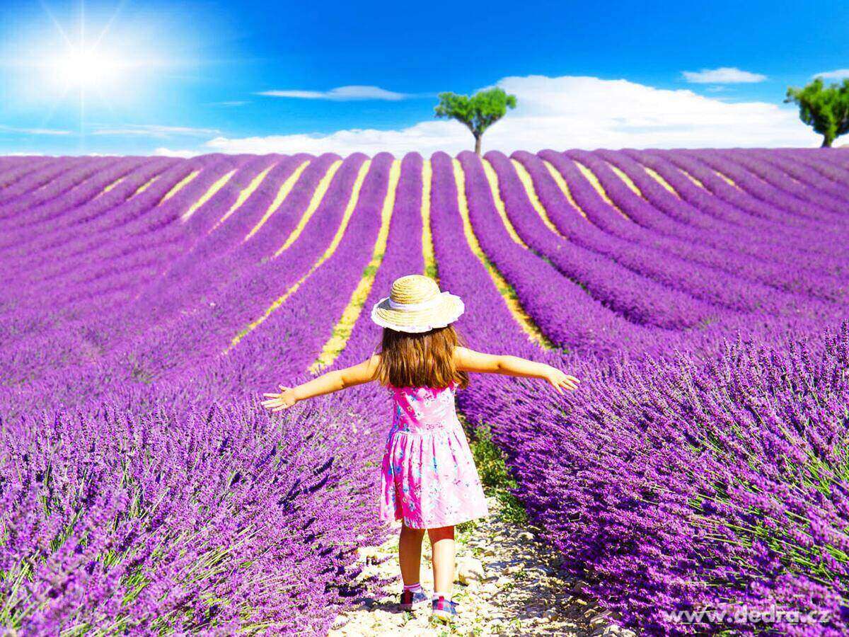 Voňavá sada 3 ks AROMA-ESENCÍ + AROMALAMPA ZDARMA