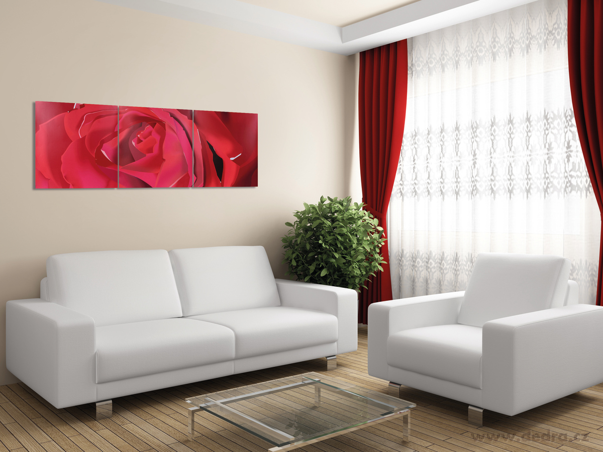 Sada 3 obrazů, každý 60x60 cm, ROSE