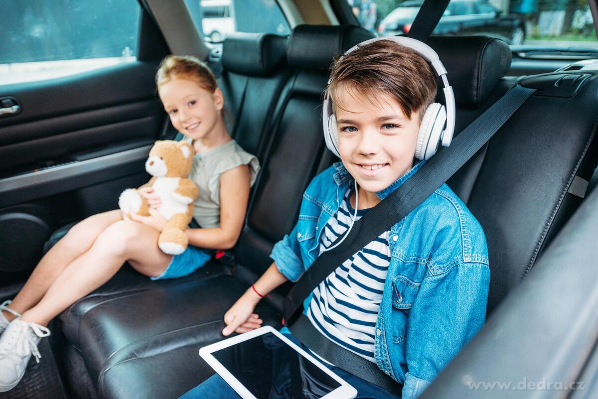 DRIVE | transparentní omyvatelný kapsář do auta | na přední sedadlo | 3 kapsy