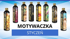 MOTYWACZKA na nowości PARFUMAGE SUPREME