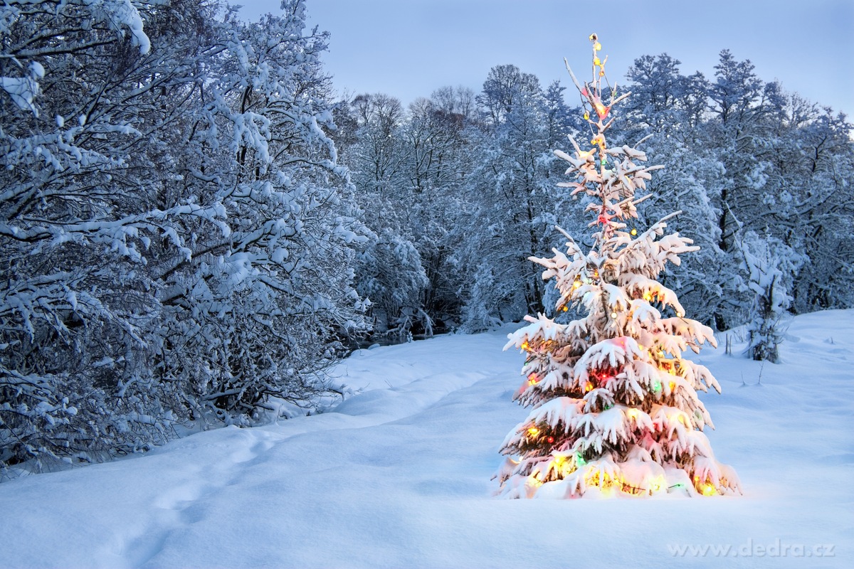 L'AVIVAGE, christmas dream, avivážní kondicionér