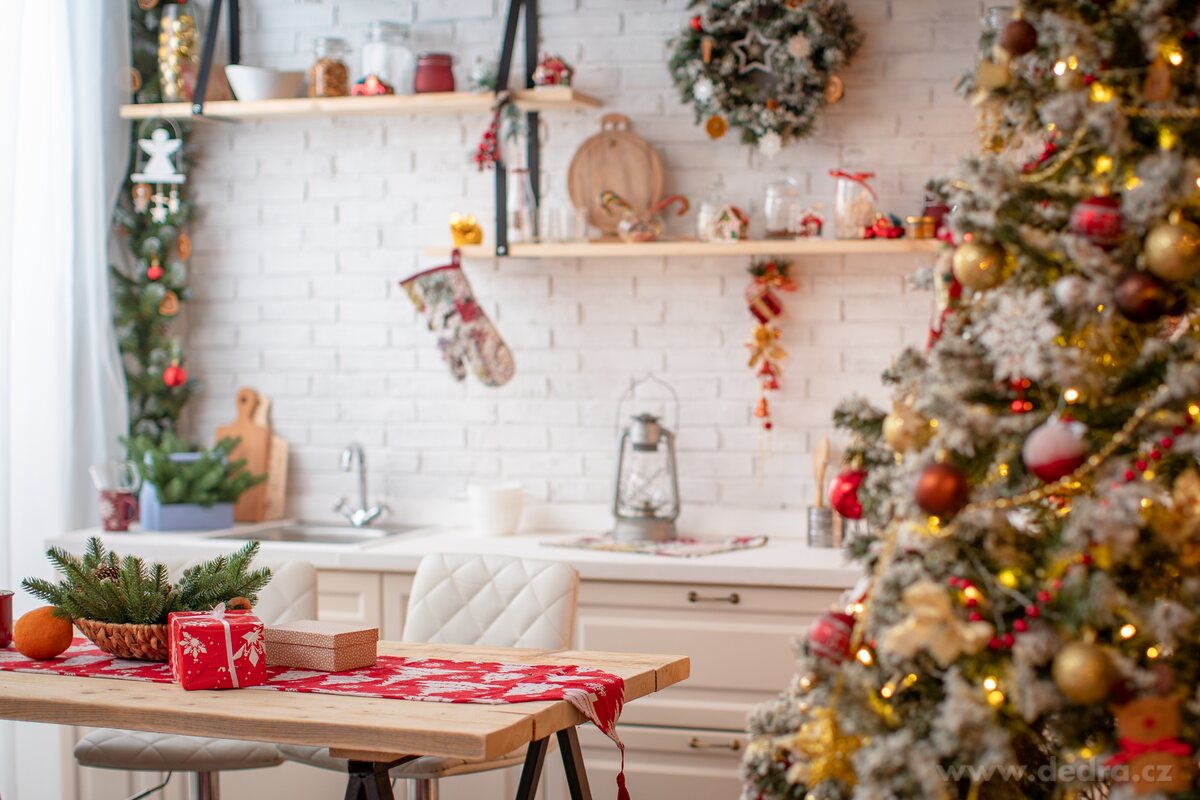 EKO intenzivní čistič na kuchyně a mastnotu XONOX  ECO COOK