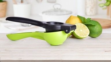 Lisy a odšťavovače