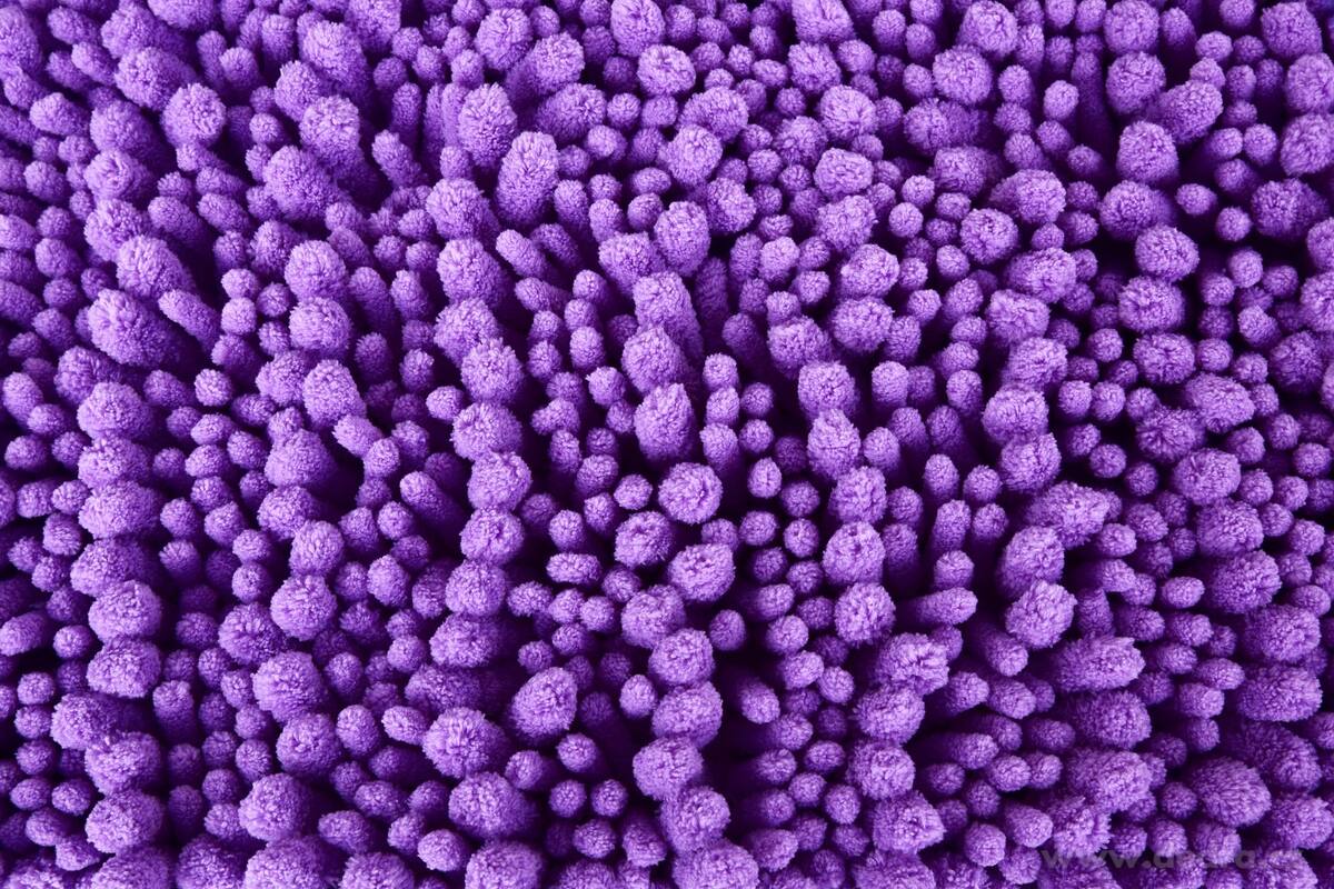 WC předložka 3D CORAL SASANKA