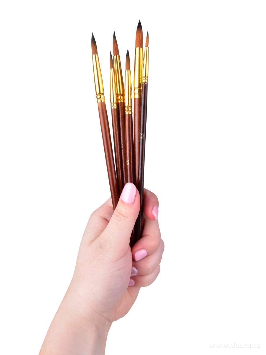 6 ks sada uměleckých štětců s dřevěnou rukojetí a zlatými syntetickými vlákny