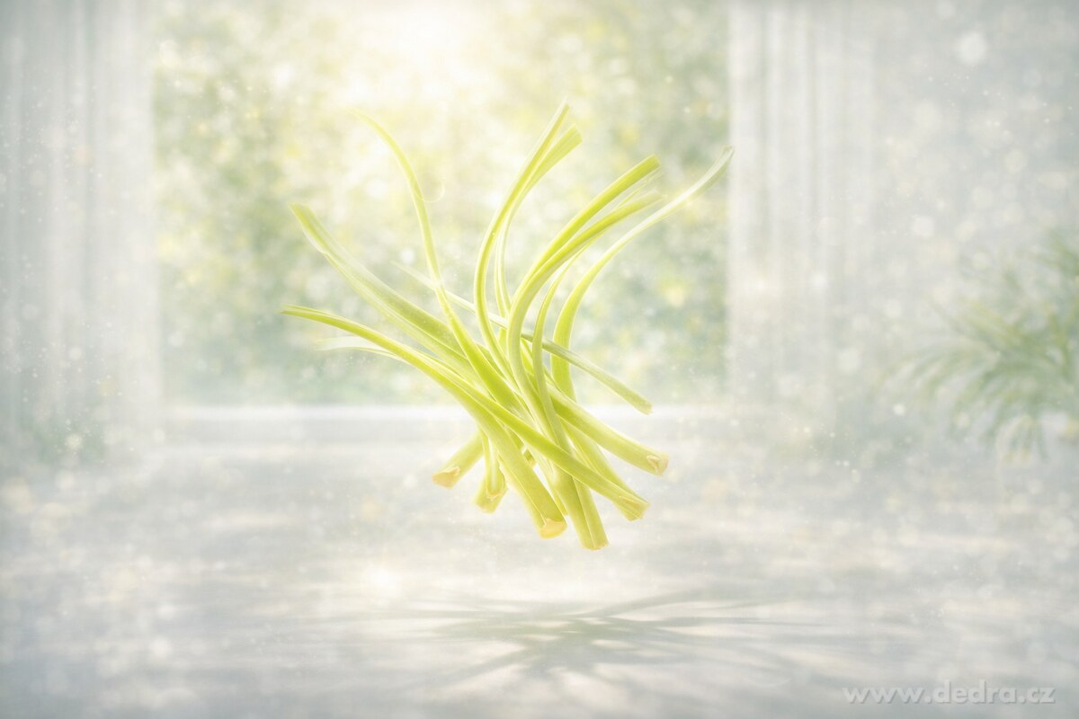 LEMONGRASS | sójový vosk do aromalampy | PARFUMIA® | 40 ml