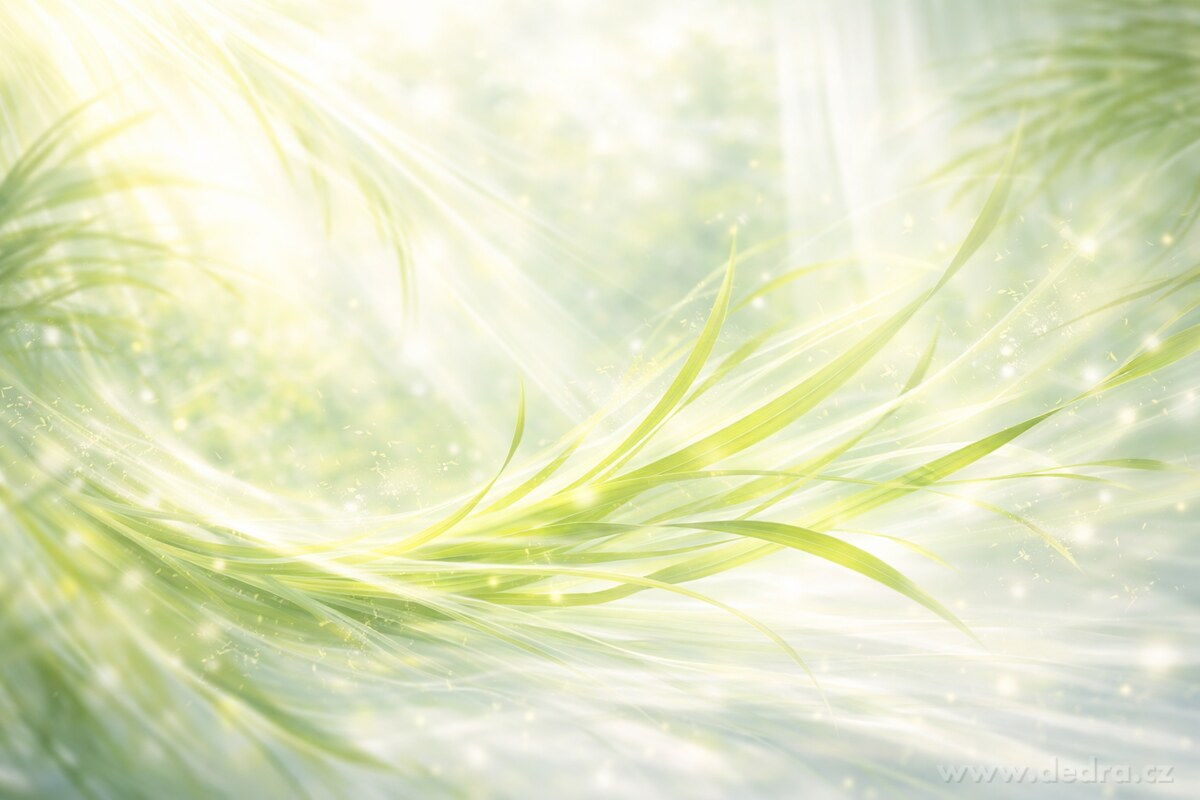 LEMONGRASS | sójová svíčka | 2 knoty | PARFUMIA® | 400 ml