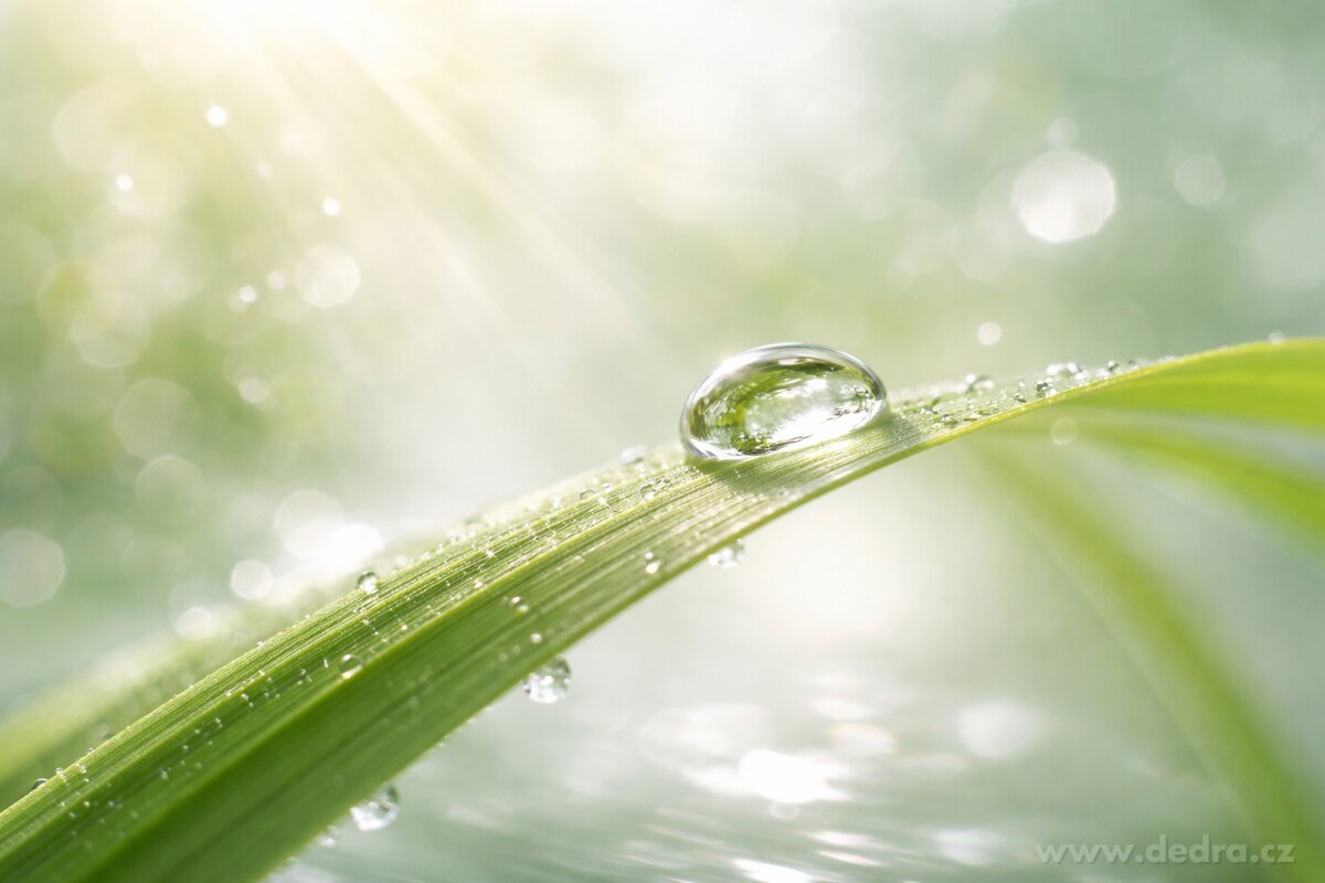 LEMONGRASS | sójová svíčka | 2 knoty | PARFUMIA® | 400 ml