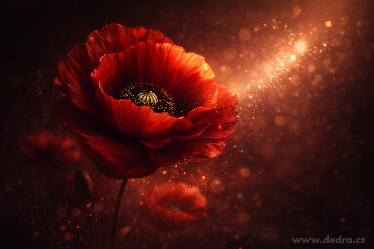 L'AVIVAGE POPPY MEADOW | Avivážní kondicionér | 750 ml