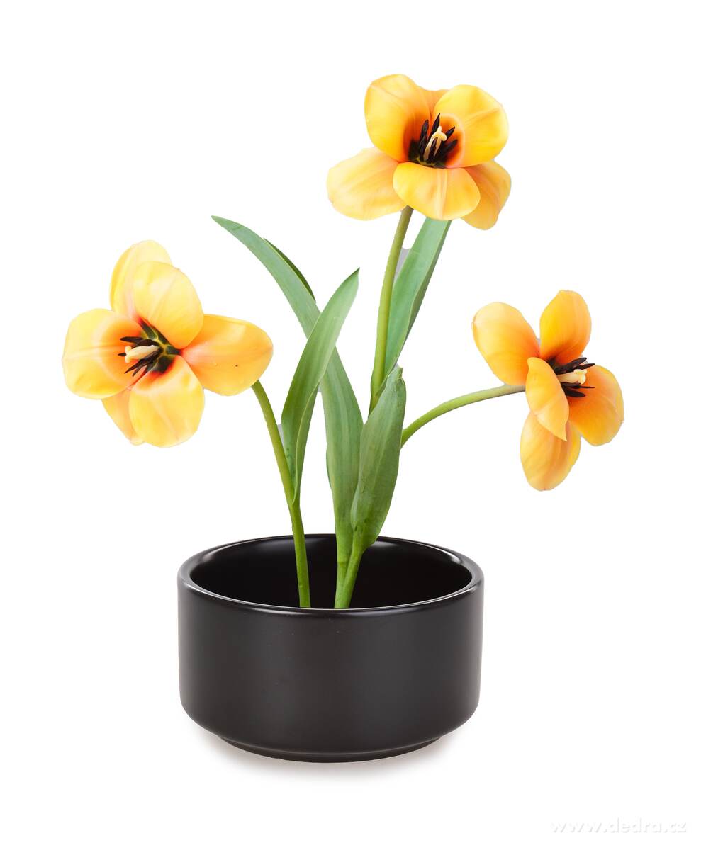 IKEBANA | Keramická mísa na květinové aranžmá & svíčky | Ø 12,5 cm | 600 ml