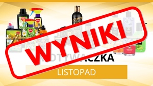 Wyniki MOTYWACZKA LISTOPAD Wyniki MOTYWACZKA LISTOPAD