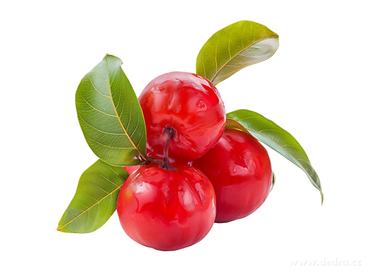 ACEROLA prírodný vitamín C 560 mg z extraktu plodov - imunita, kolagén, energia a ochrana buniek