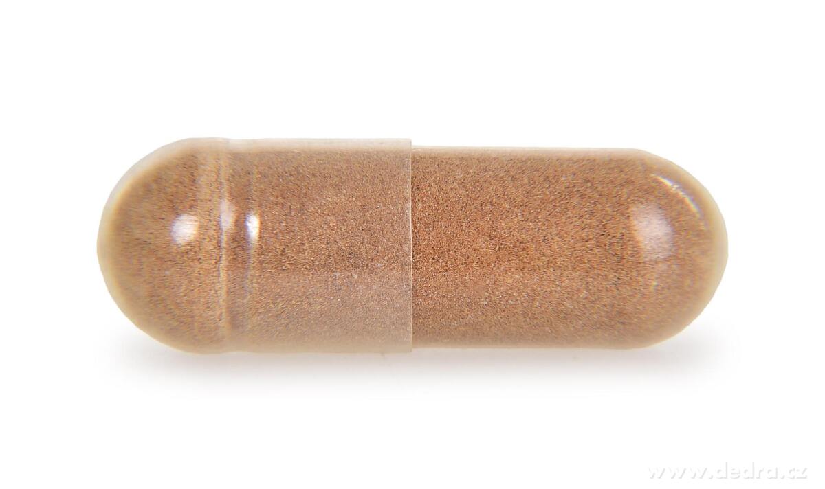 REISHI 500 mg - vitalita, imunita a rovnováha z prírody