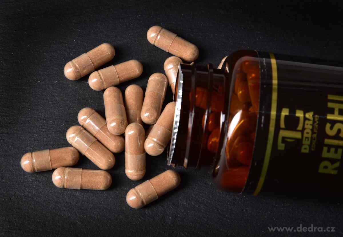 REISHI 500 mg - vitalita, imunita a rovnováha z prírody