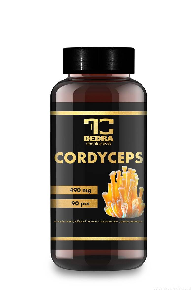 CORDYCEPS extrakt 10:1 490 mg