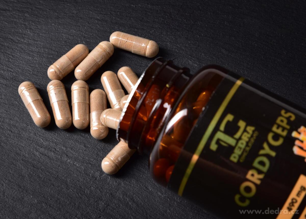 90 kapslí CORDYCEPS 490 mg