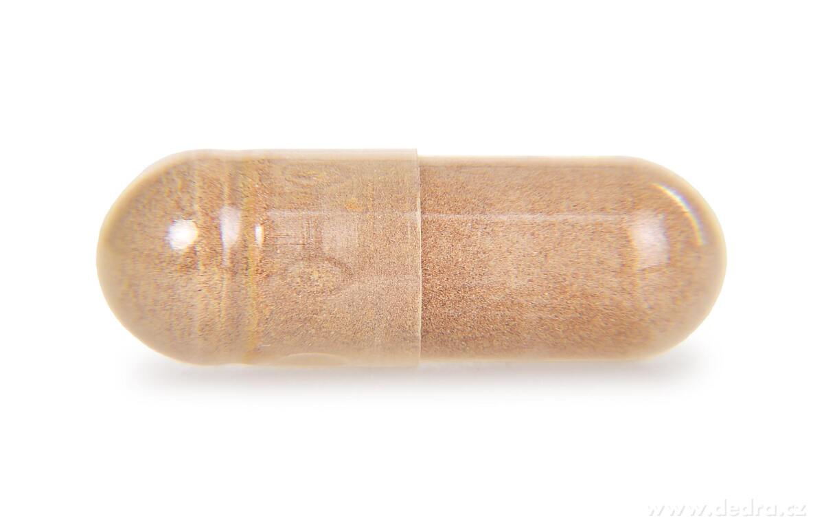90 kapslí CORDYCEPS 490 mg