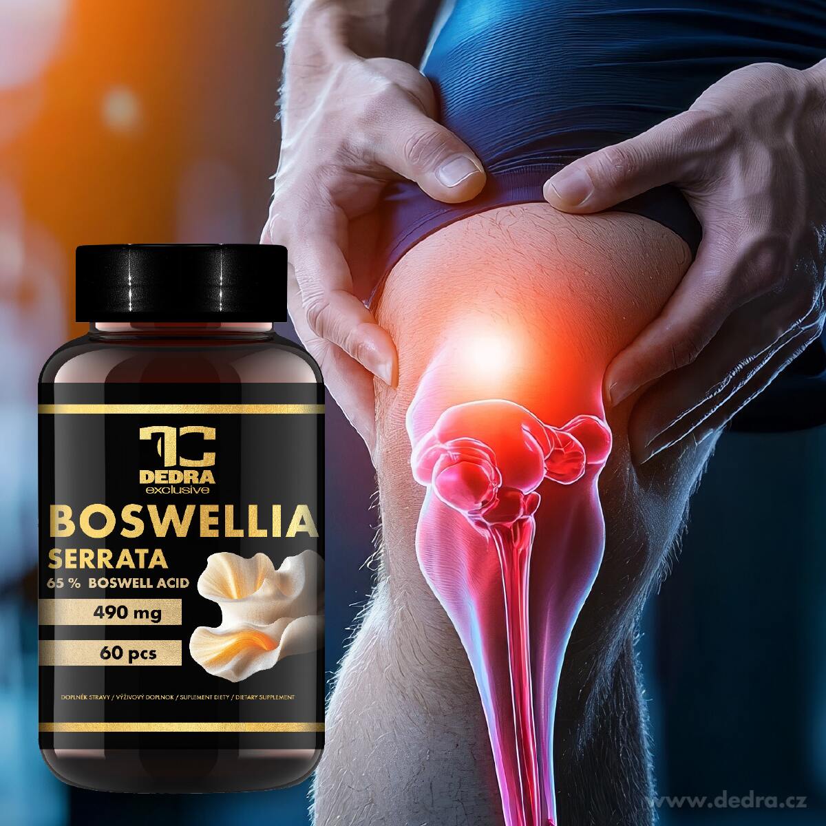 BOSWELLIA SERRATA 490 mg | 65 % kyseliny boswellové | klouby, mobilita & pružnost | 60 kapslí