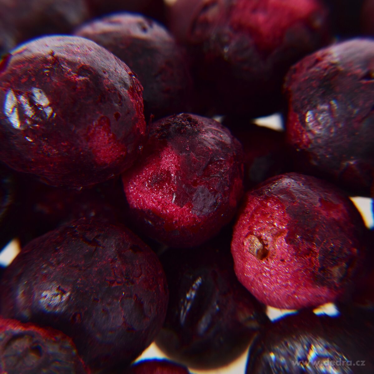 TEMNÉ ČIERNE RÍBEZLE - lyofilizované, celé ovocie sušené mrazom