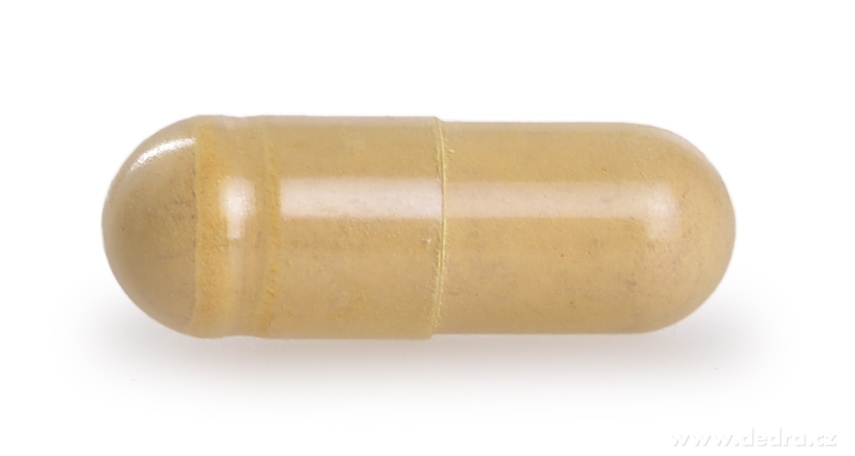 OSTROPESTŘEC MARIÁNSKÝ 510 mg | 80 % silymarinu | zdravá játra, trávení a detoxikace | 90 kapslí