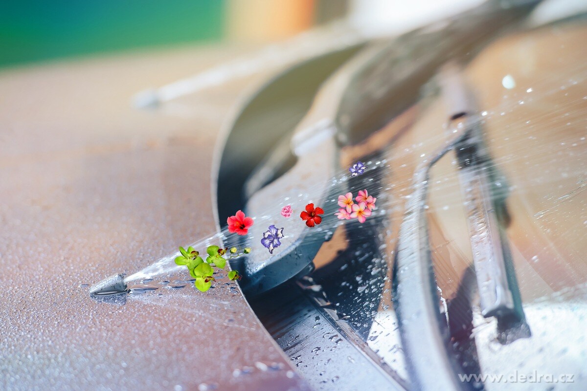 SUMMER CLEANER | Parfemovaný koncentrát – letní směs do ostřikovačů | 1 L