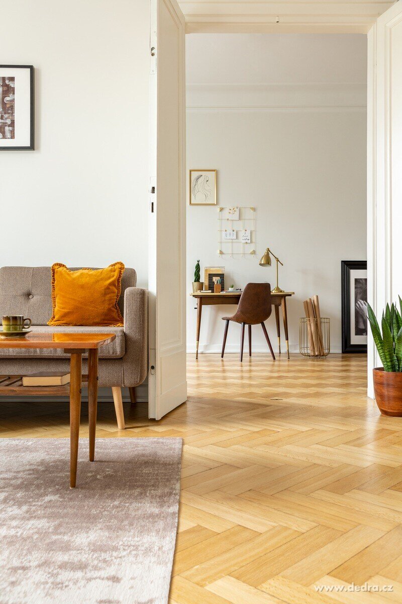 BACILEX HYGIENIC FLOOR CARE | Univerzální mycí prostředek na podlahy | vůně mango | 500 ml | 25 mytí