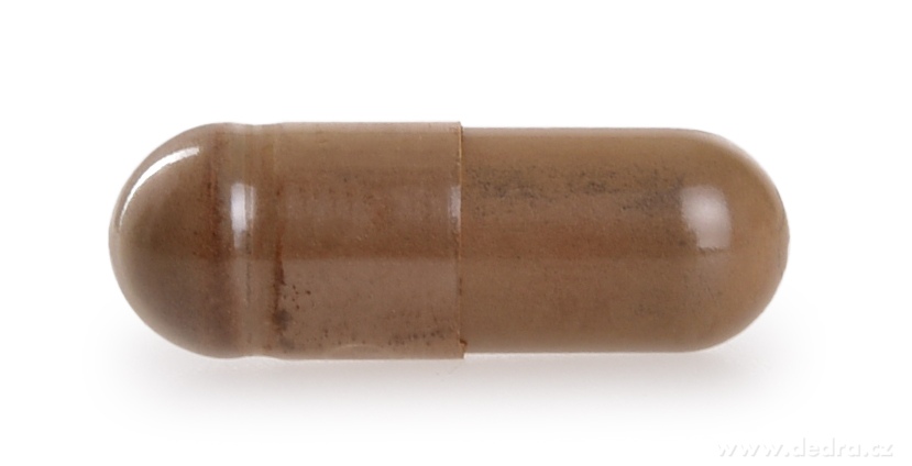 CHAGA 510 mg, 50 % polysacharidov + 20 % beta-glukánov