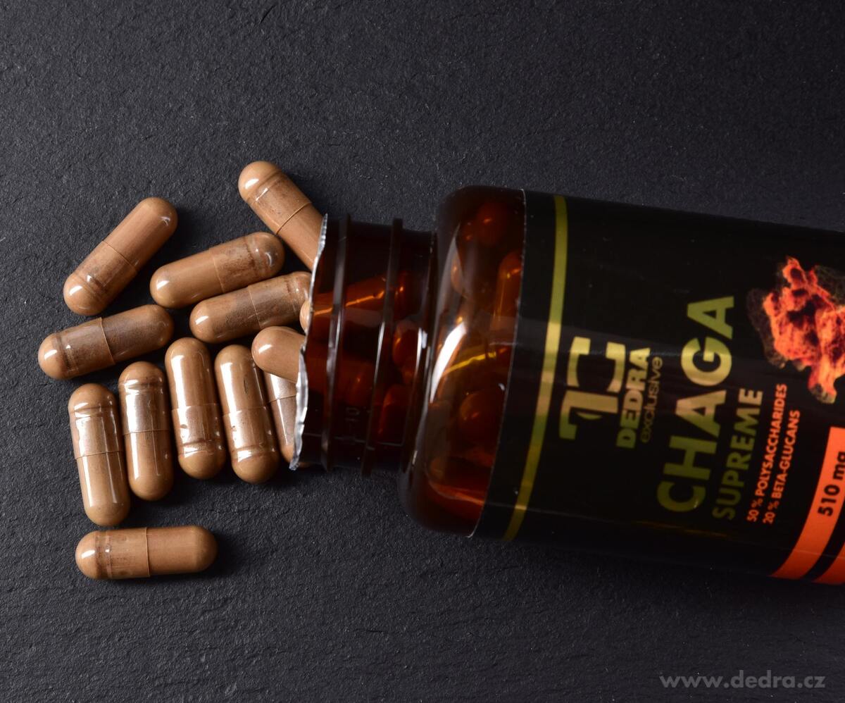 CHAGA 510 mg, 50 % polysacharidov + 20 % beta-glukánov