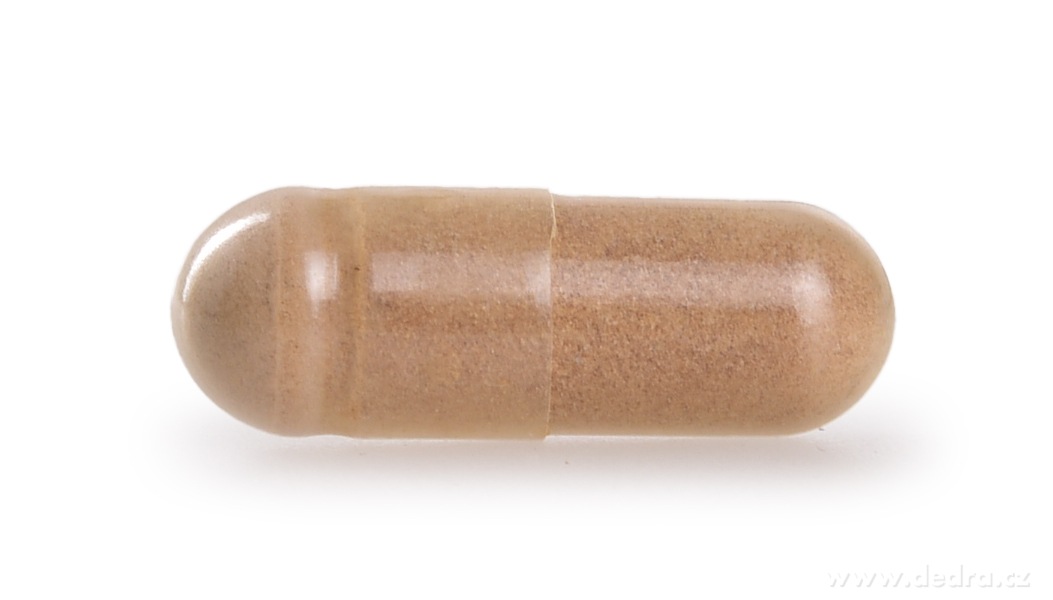HLÍVA ÚSTŘIČNÁ 520 mg | 50 % polysacharidů a 20 % beta-glukanů | vitalita, imunita a metabolismus tuků | 90 kapslí
