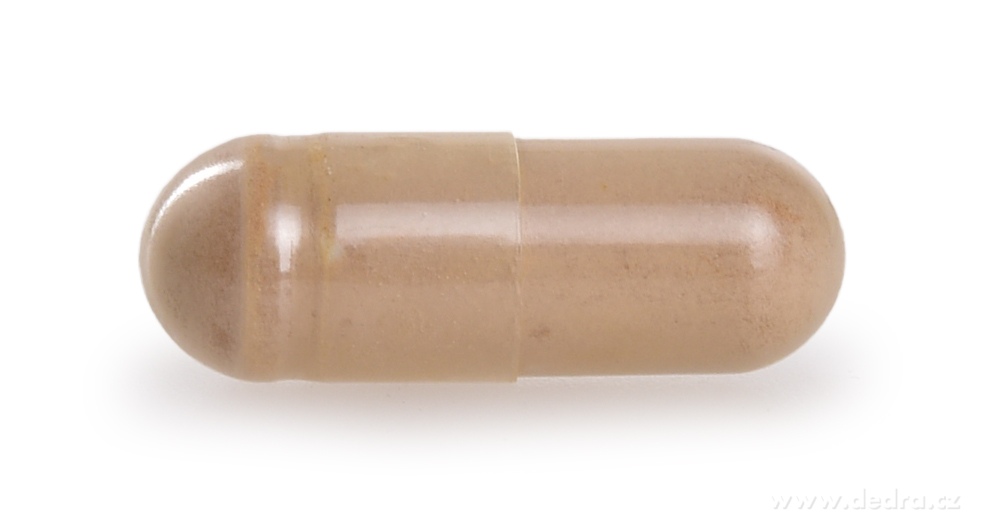 CORDYCEPS SUPREME 520 mg | 50 % polysacharidů + 20 % beta-glukanů