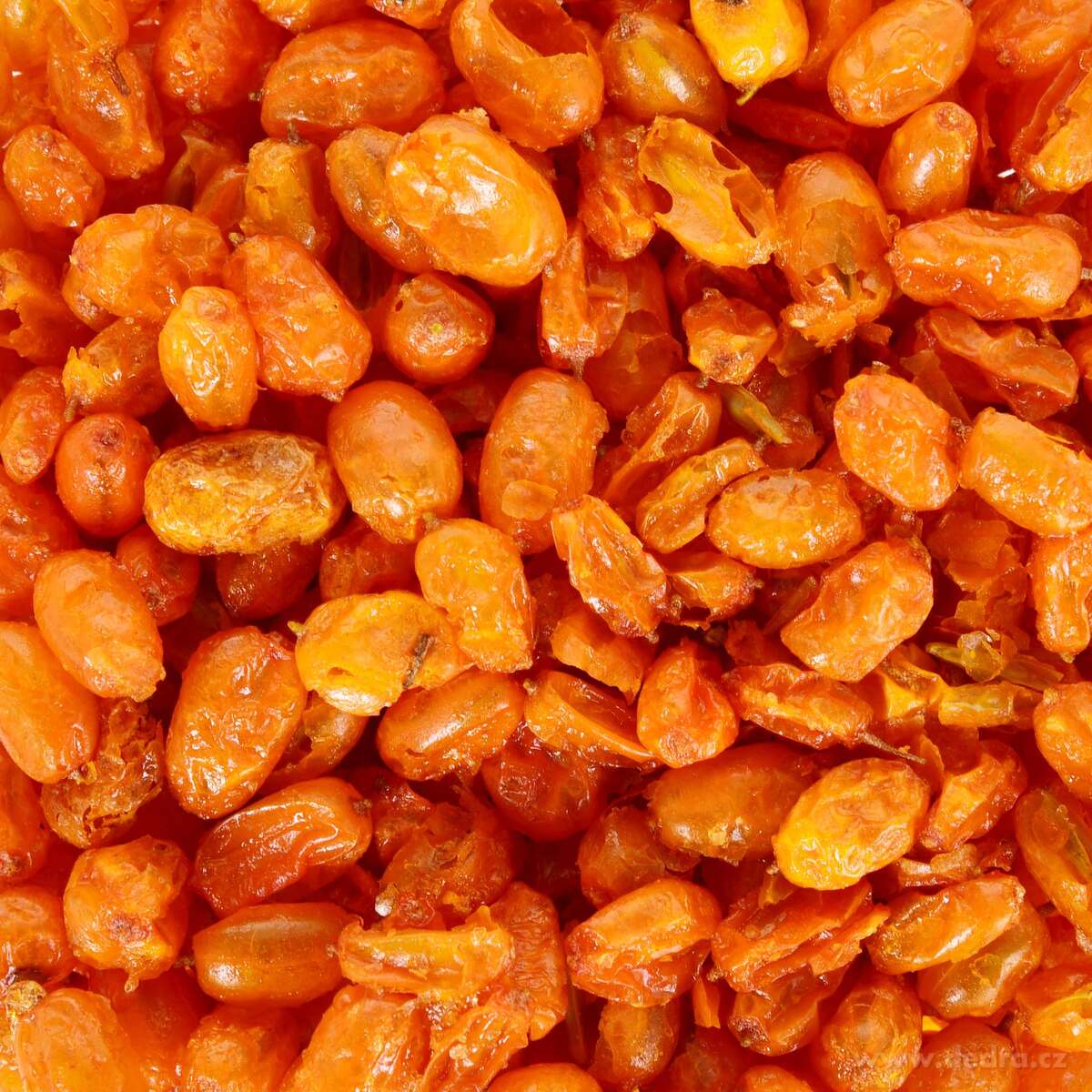 VÝRAZNÝ RAKYTNÍK | lyofilizovaný, celé plody sušené mrazem