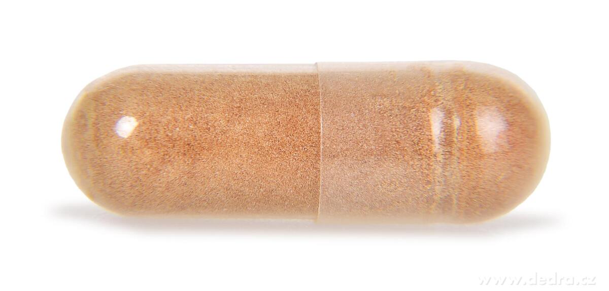 ASHWAGANDHA 510 mg extrakt 10:1 (5 % withanolidov)