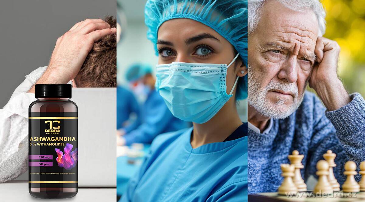 ASHWAGANDHA 510 mg extrakt 10:1 (5 % withanolidov)