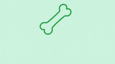 Klouby, kosti & chrupavky