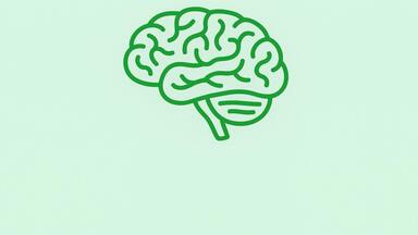 Paměť, mozek & zrak