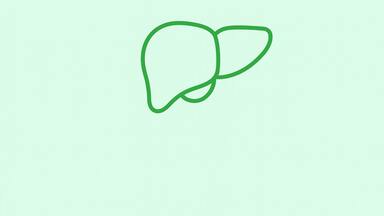 Trávení, játra & detox