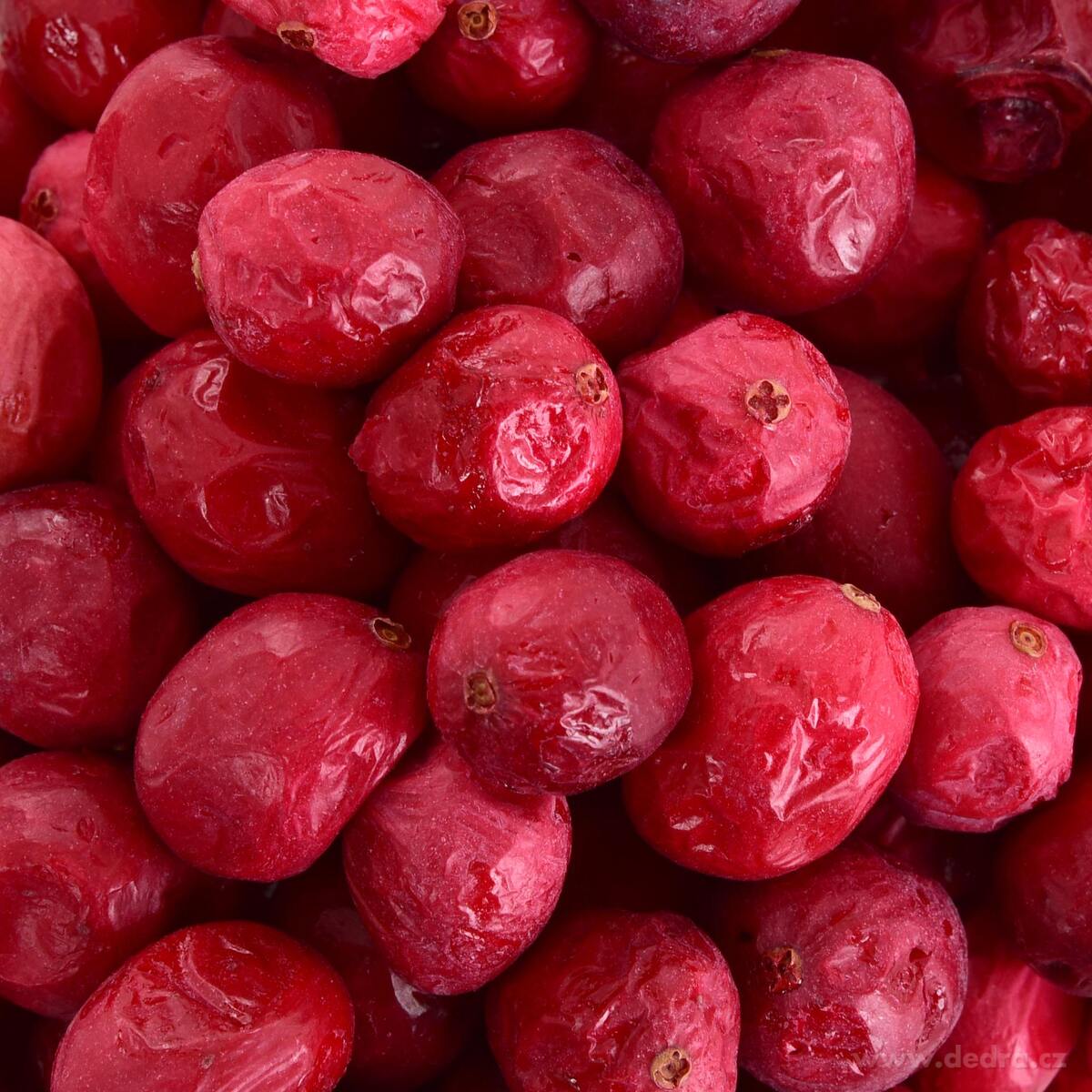 Rodinné balení 3×50 g | SEVERSKÉ BRUSINKY | lyofilizované, celé ovoce sušené mrazem