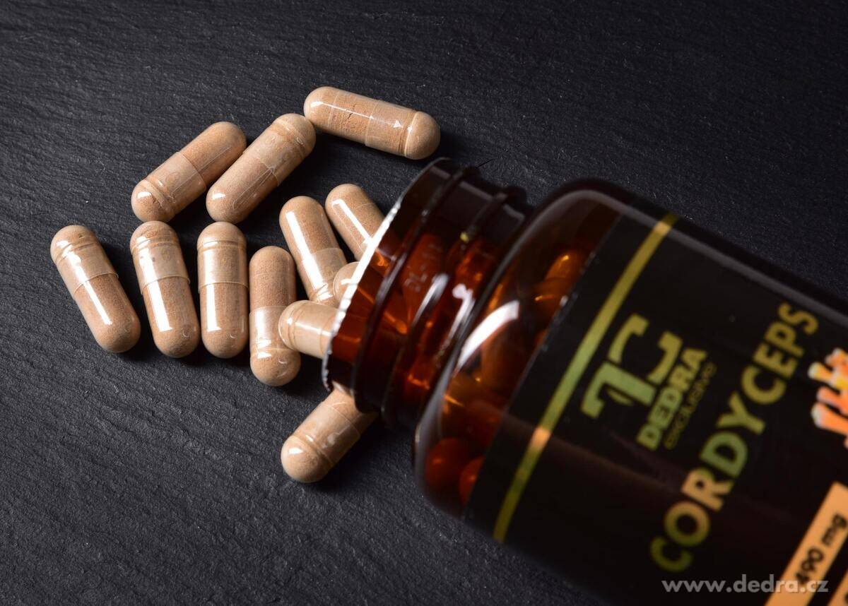 MUSHROOM DUO | vitální houby pro imunitu & vitalitu | reishi & cordyceps