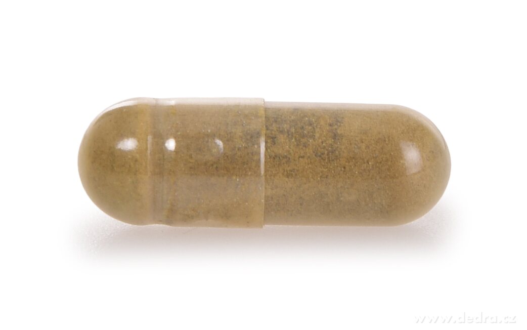 ASHWAGANDHA 500 mg extract 10:1 (5 % withanolidů) | indický ženšen | adaptogen, duševní & kognitivní činnost, relaxace, energie & vitalita | 60 kapslí | 36 g