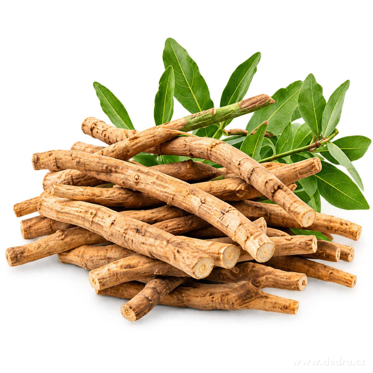 ASHWAGANDHA 500 mg extract 10:1 (5 % withanolidů) | indický ženšen | adaptogen, duševní & kognitivní činnost, relaxace, energie & vitalita | 60 kapslí | 36 g