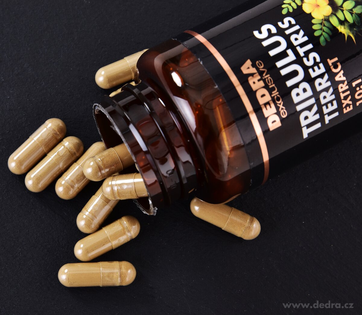 TRIBULUS TERRESTRIS | kotvičník zemní – extrakt z plodu 10 : 1 | energie & svalový tonus | 500 mg | 90 kapslí | 54 g