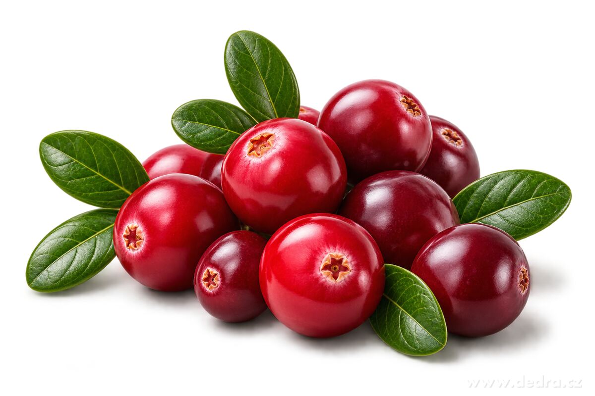D-MANNOSE + CRANBERRY | 1 000 mg D-manózy + 400 mg extraktu z brusinky | min. 40 mg PAC | močová soustava | 180 kapslí | 100,8 g
